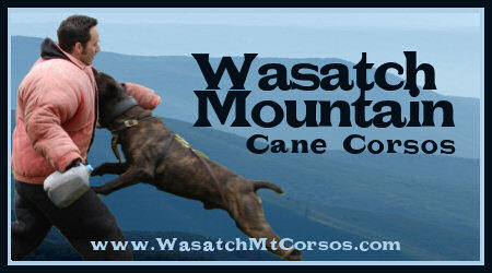 Breeding For Work & Confirmation -- NEW Website -- VISIT US TODAY!